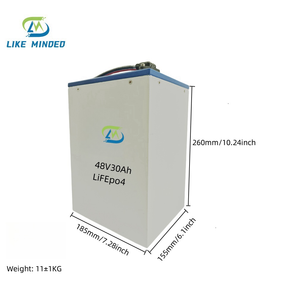 51.2V 30Ah LiFePO4 Battery Pack for E-bikes 